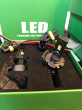 Eco D1/D2/D3/D4 LED Bulbs